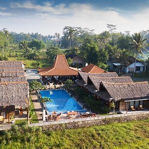 Shanaya Hotel & Cafe